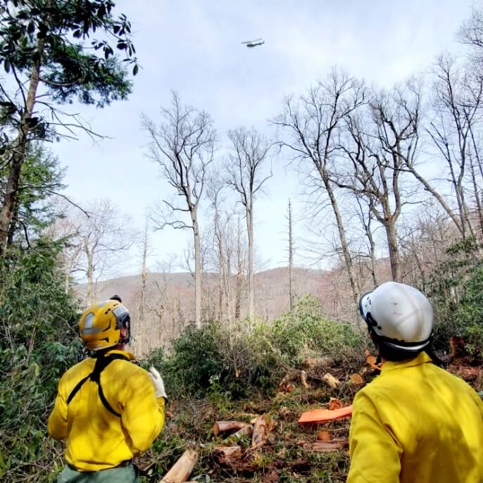 trail crew watch helicopter used to transport locust logs
