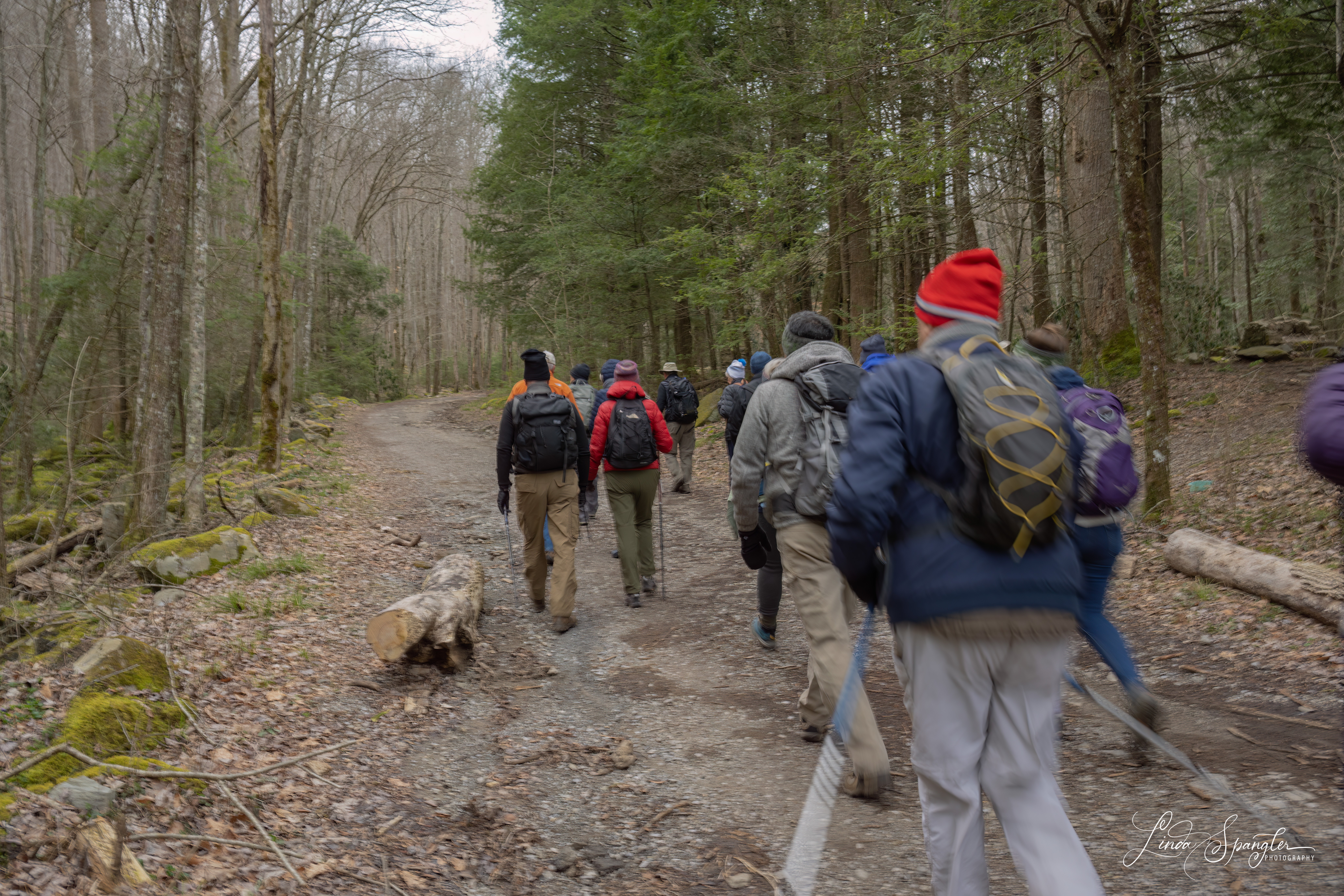 Hikers on Jakes Creek Trail