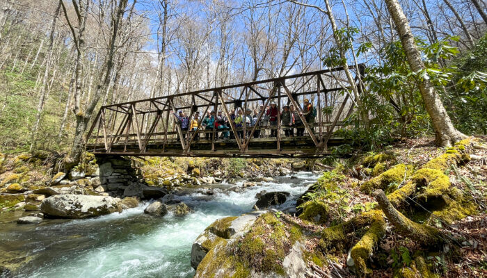 A group of hikers stand on a metal bridge over flowing water on Bradley Fork Trail.