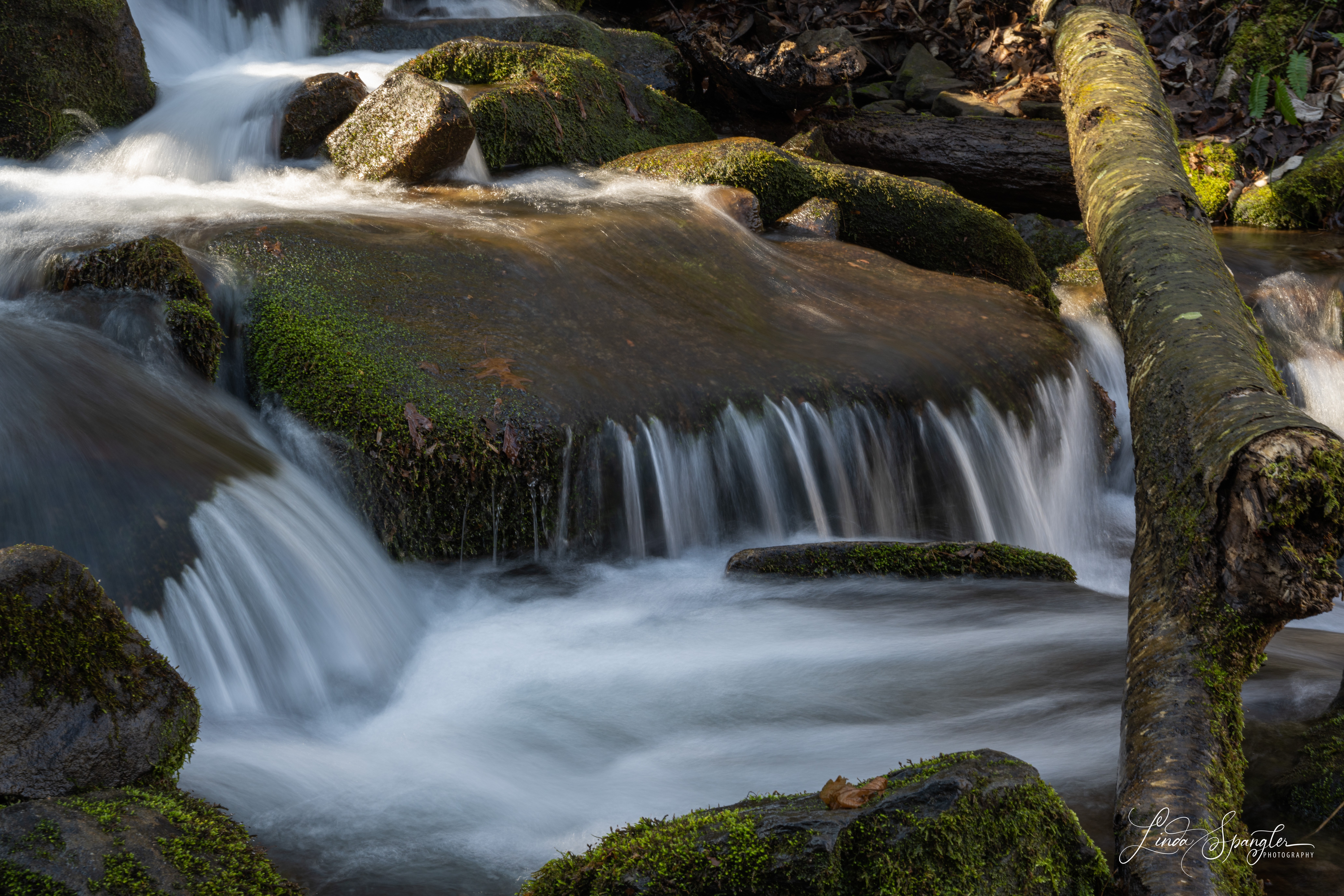 Kephart Prong rushing water