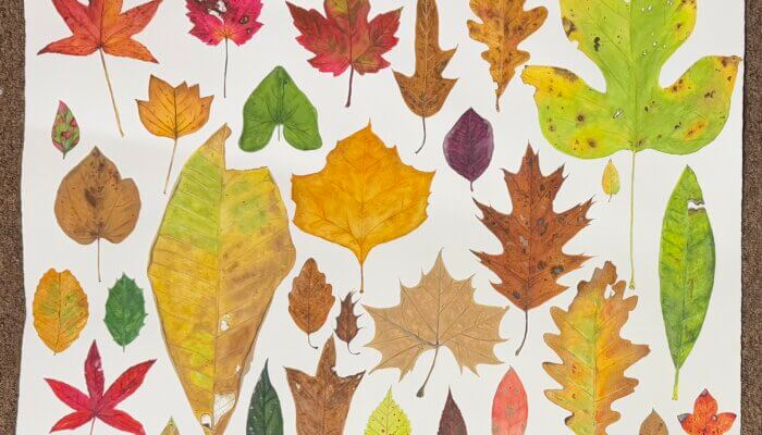 Colorful leaves painted in watercolor