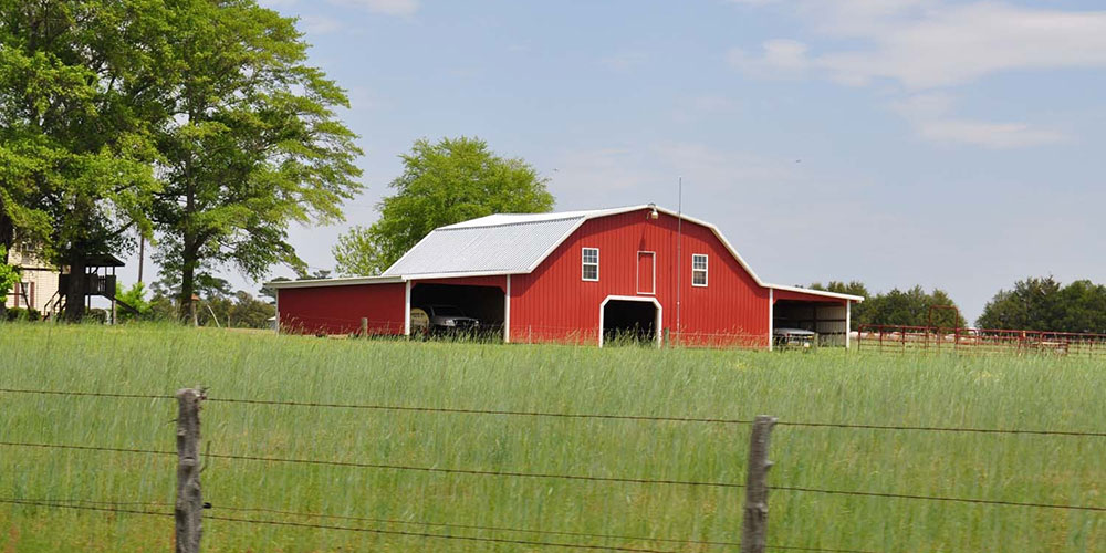 A Sampson County farm | Photo © Donna Bailey-Taylor