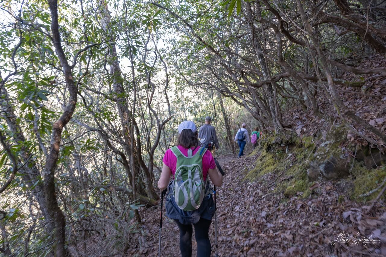 hikers on Smokemont Loop Trail