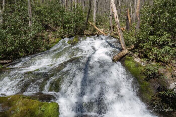 Chasteen Creek Cascade Falls