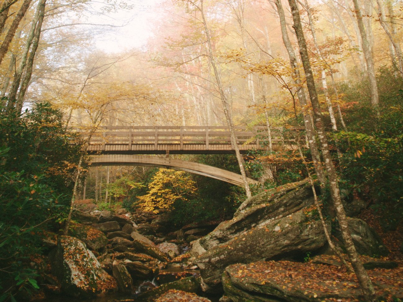 Bridge Over Boone Fork | Photo © Adam Collins